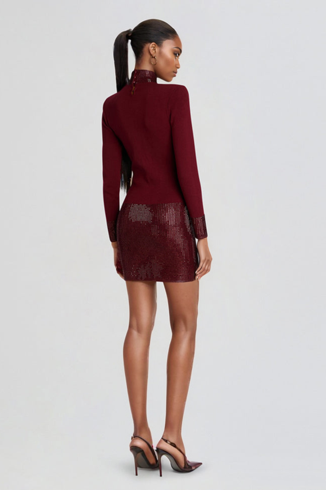 Frances Pırlanta Taşlı Yüksek Yaka Mini Elbise