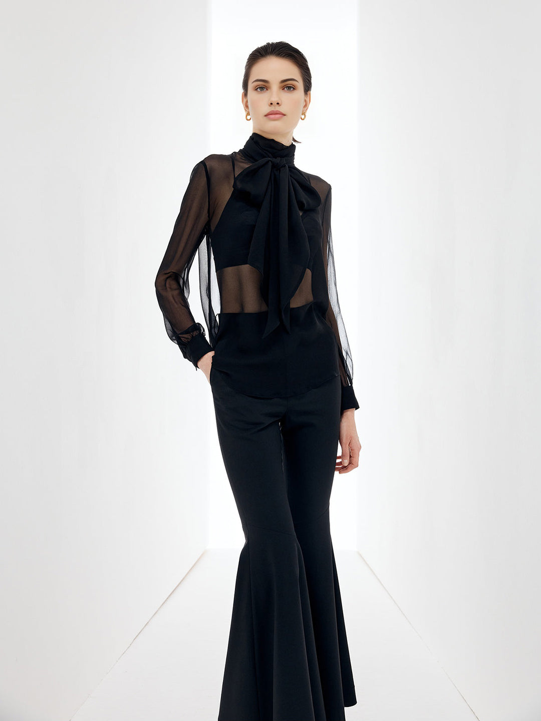 Şeffaf Fiyonk Şifon Bluz