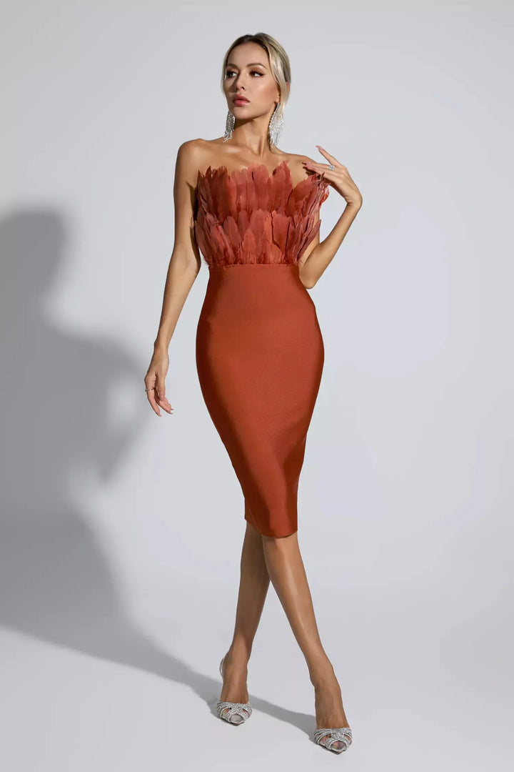 Elianna Koyu Kahve Tüy Midi Elbise