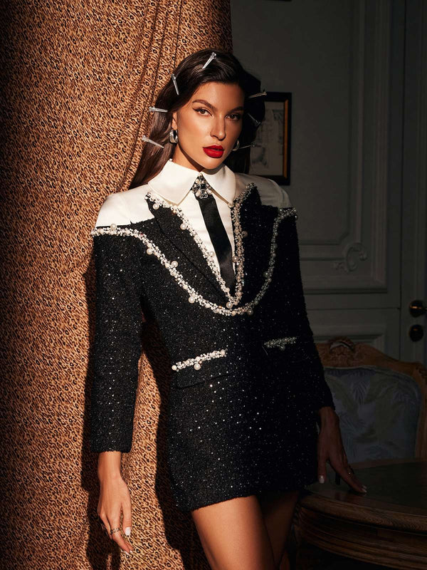 Payetli İşlemeli Yakalı Galilea Elbise