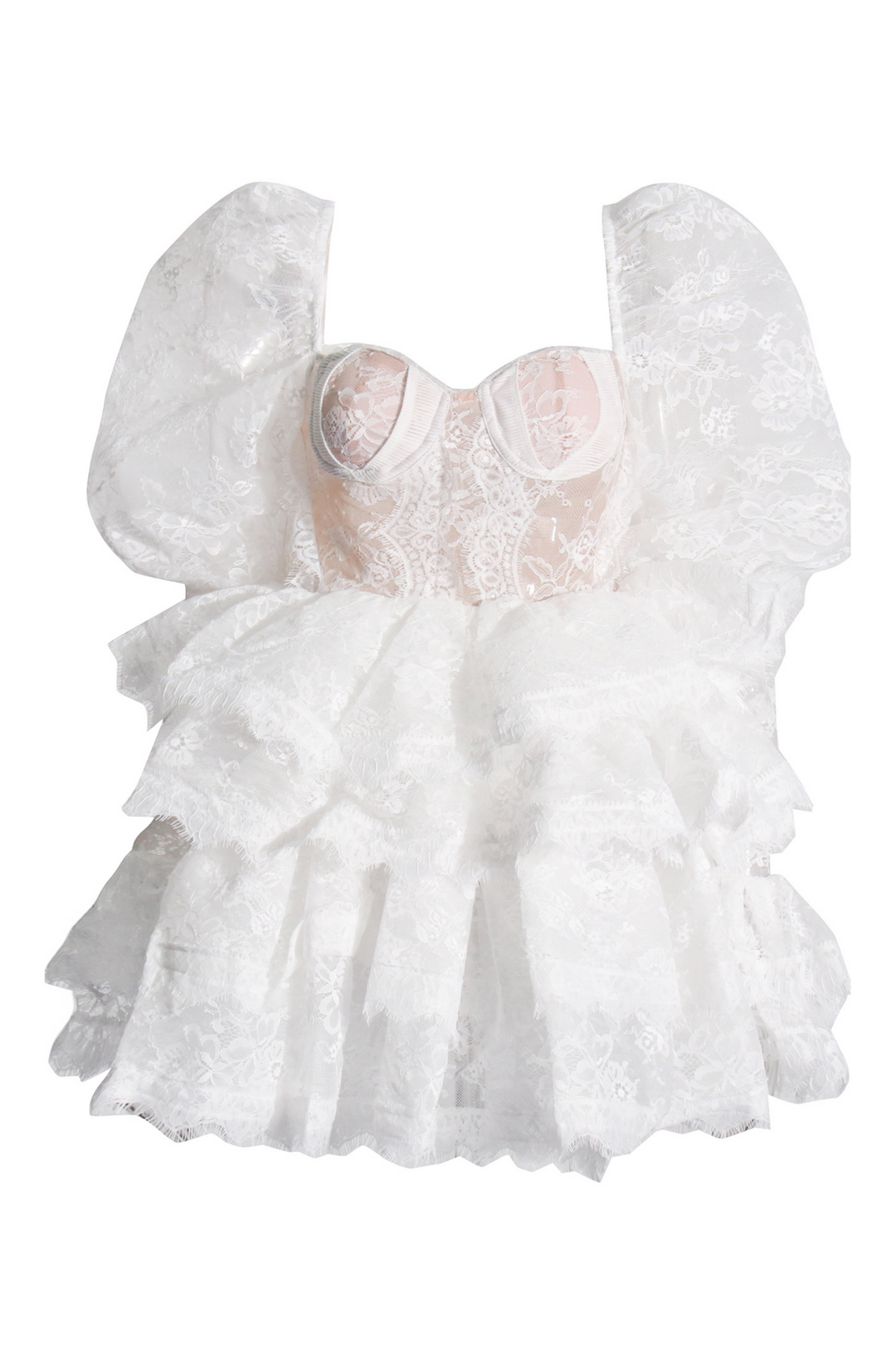 Bonnie İşlemeli Dantel Puf Kol Mini Elbise