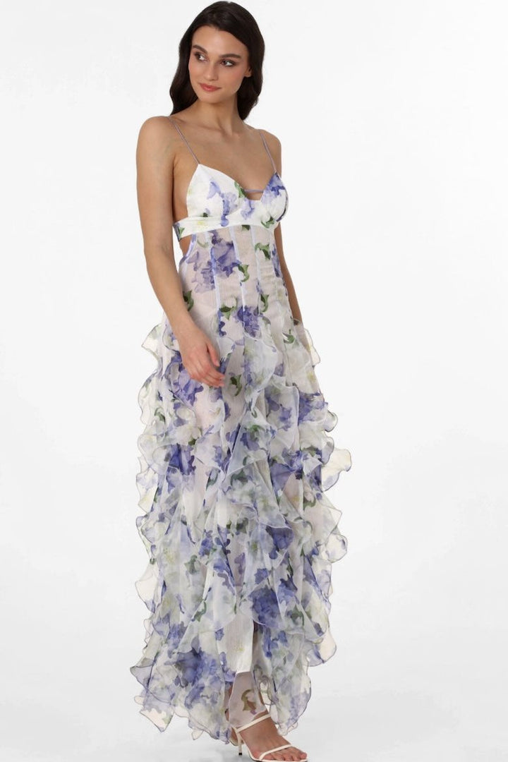 Alexia Fırfırlı Transparan Maxi Elbise