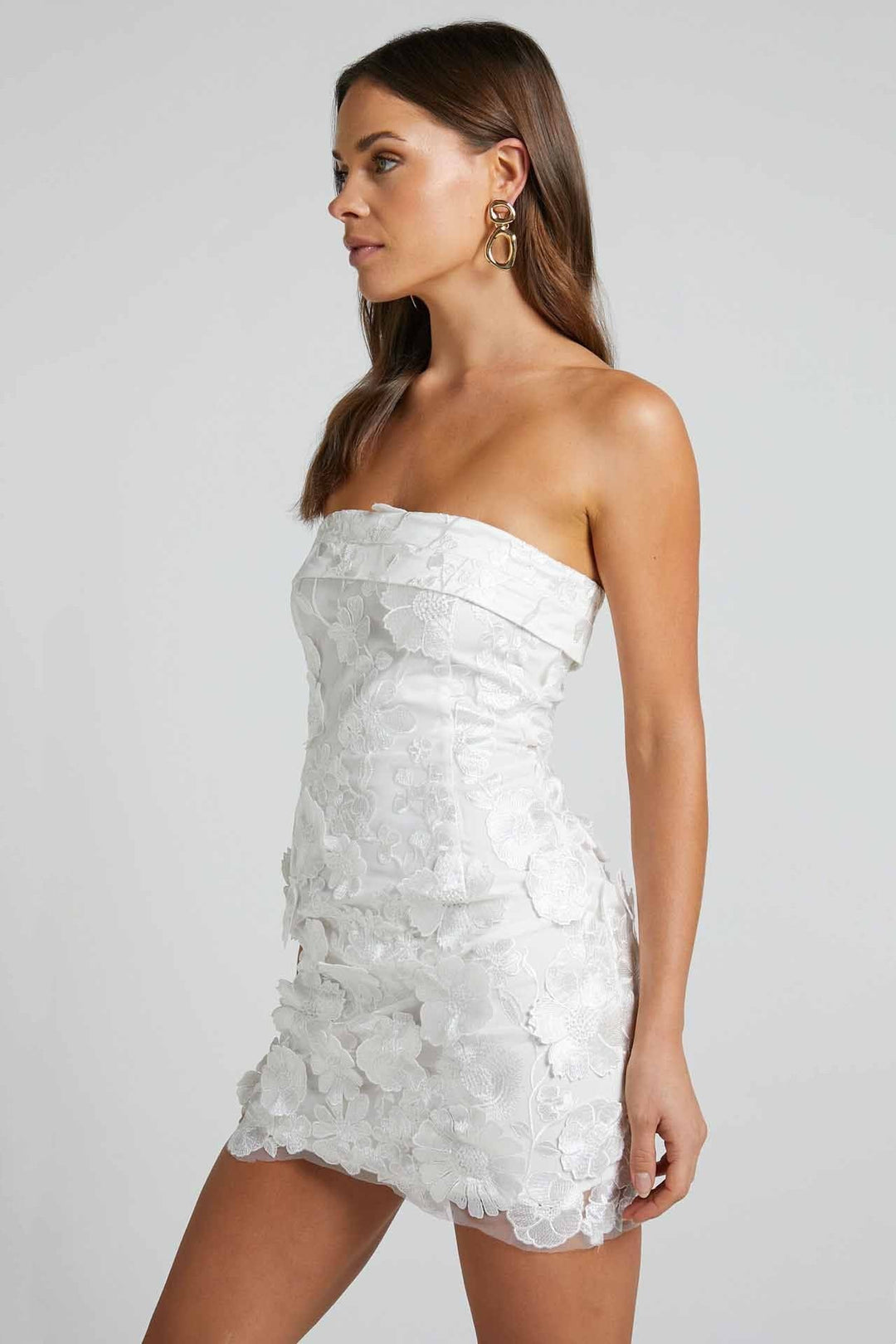 Arlene İşlemeli Dantel Mini Straplez Elbise