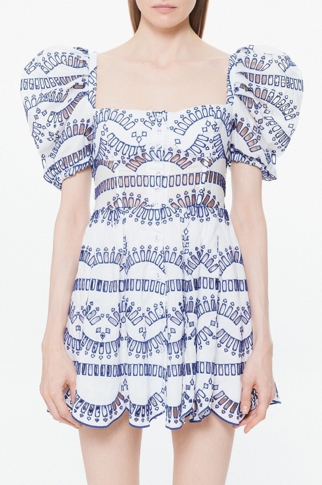 Janice İşlemeli Puf Kol Mini Elbise